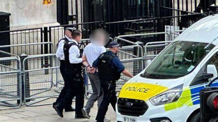 Was Molly Nolbitt Arrested? Breaking News And Details