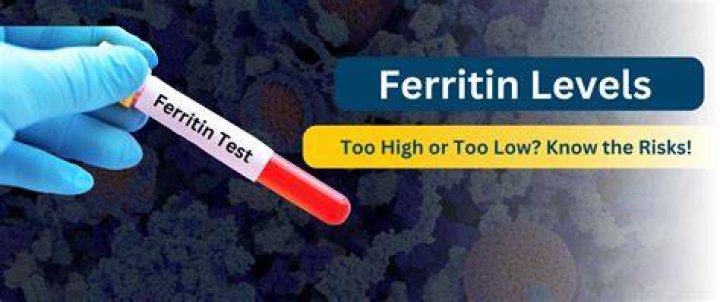 What A High Ferritin Level Can Indicate: Understanding Its Significance
