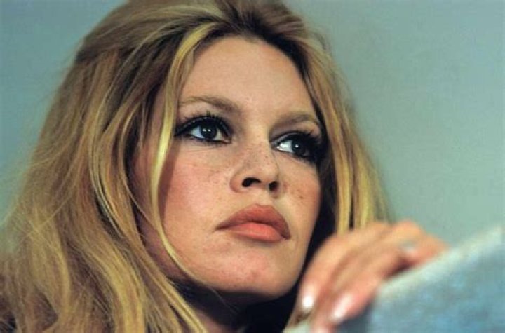 What Is The Name Of Brigitte Bardot's Son?