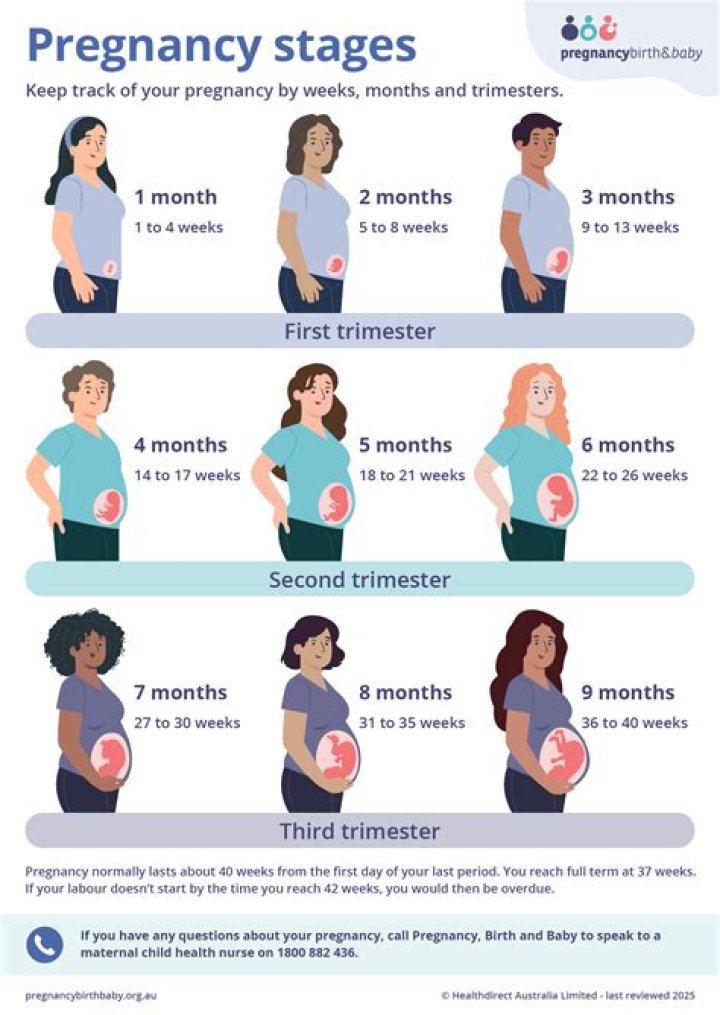 What Month Does: Your Questions Answered
