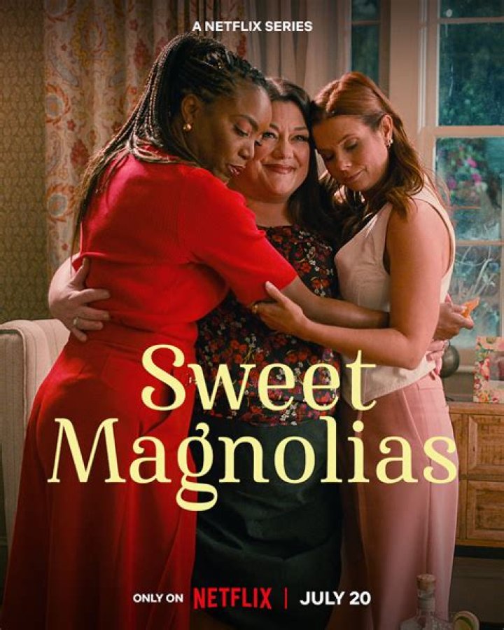Who Is Harlan On Sweet Magnolias?